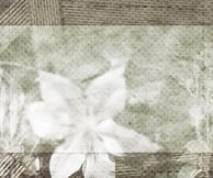 Pittsburgh Wedding Flowers